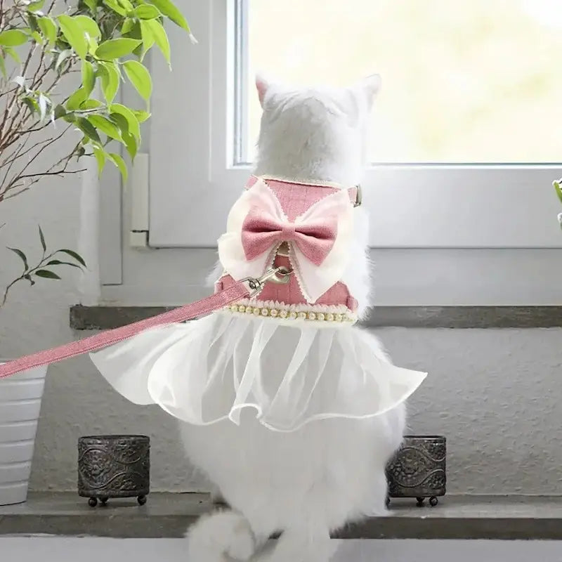 Harnais chat robe princesse - Confort royal | CatRoyale