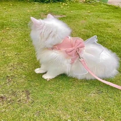 Harnais chat robe princesse