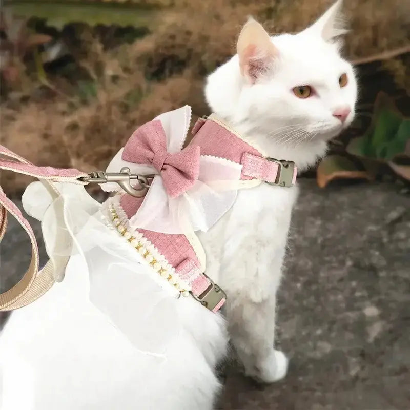 Harnais chat robe princesse