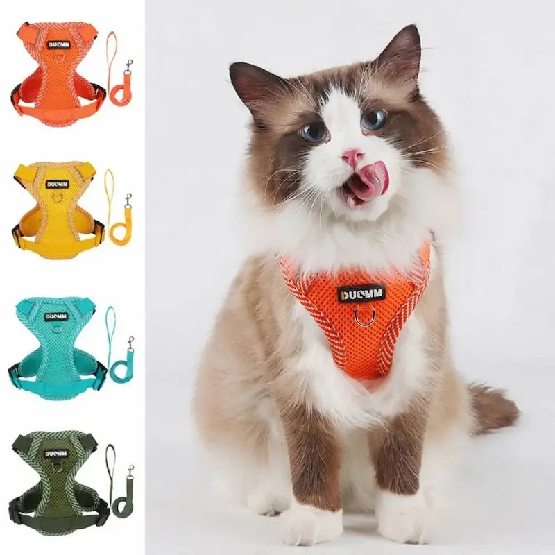 Harnais en nylon pour chat - Sécurité & confort | Duomm