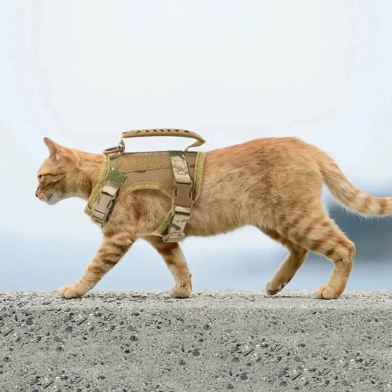 Harnais tactique chat - Anti-fugue et confort | CatArmor