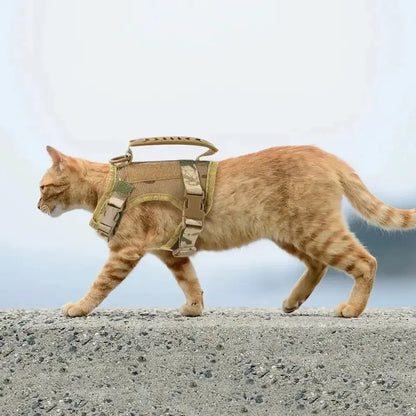 Harnais tactique chat - Anti-fugue et confort | CatArmor