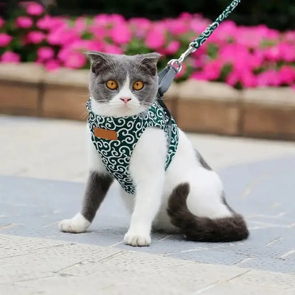 Harnais veste chat