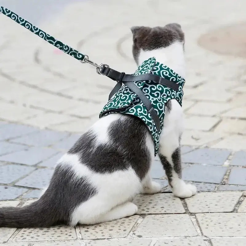 Harnais veste chat