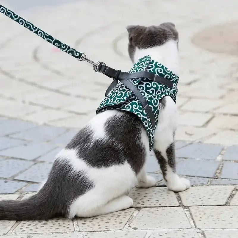 Harnais veste chat