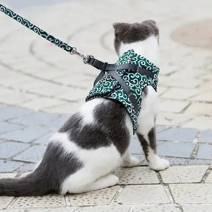 Harnais veste chat