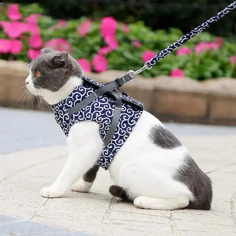 Harnais veste chat