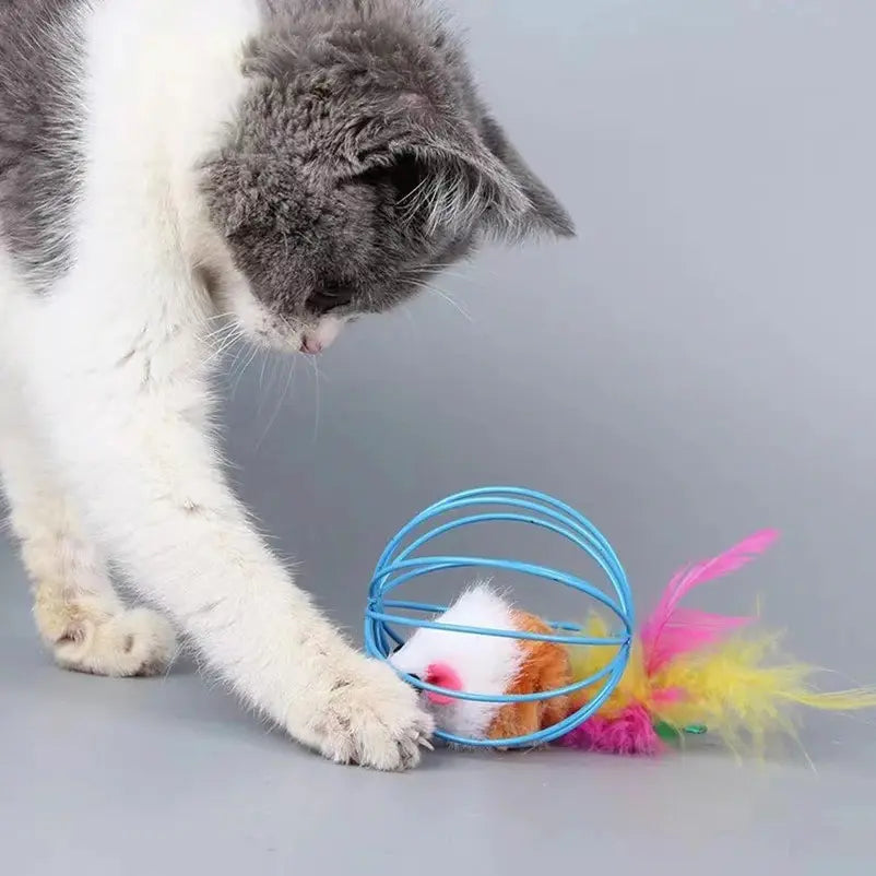 Jouet chat boule souris dedans - Anti-ennui félin | Purrly
