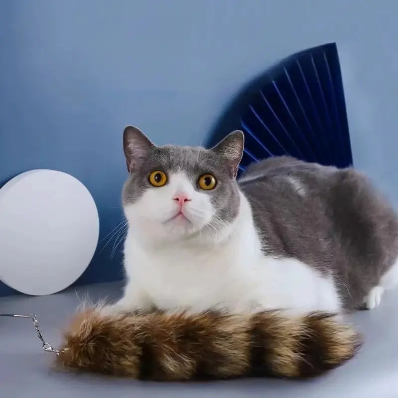 Jouet chat plume renard
