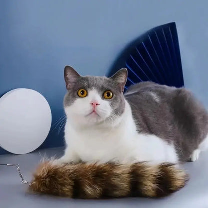 Jouet chat plume renard
