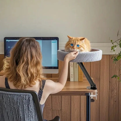 Lit chat bureau – Gain de place & confort | MiaouDesk