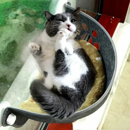 Lit chat fenêtre ventouse