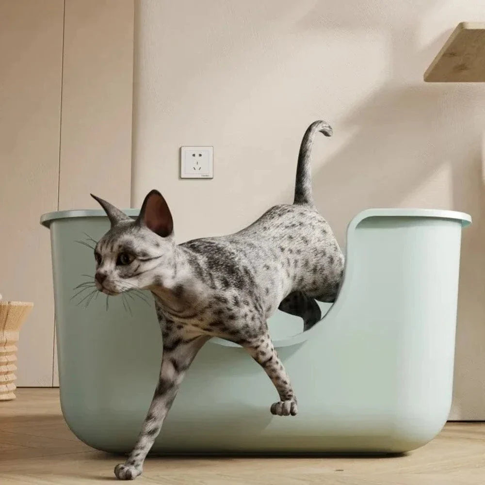 Litière XXL pour Maine Coon