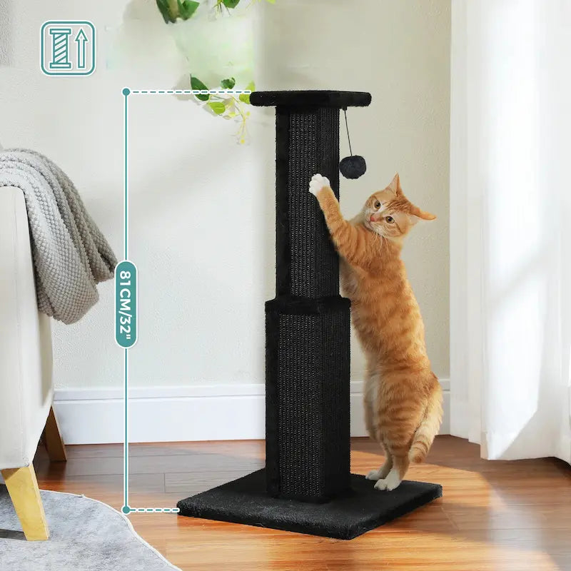 Grand poteau à gratter chat