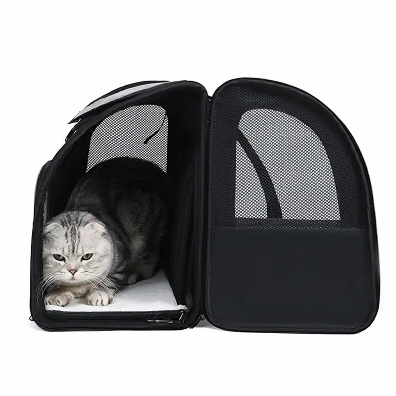 Sac à dos chat extensible avec abri