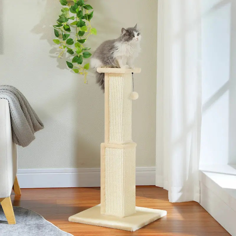 Grand poteau à gratter chat