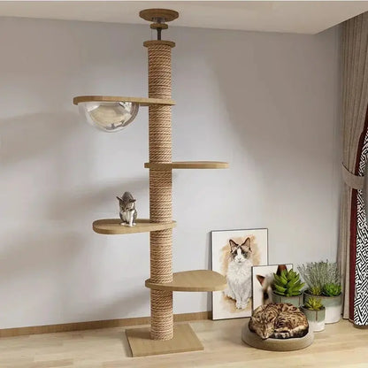 Arbre à chat XXL bois naturel