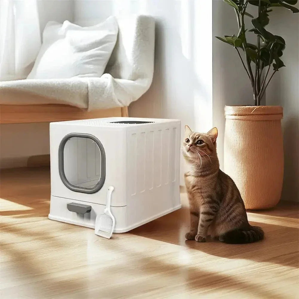Maison de toilette chat anti odeur - Fini les mauvaises odeurs | OdorFree