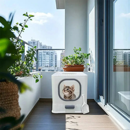 Maison de toilette chat anti odeur