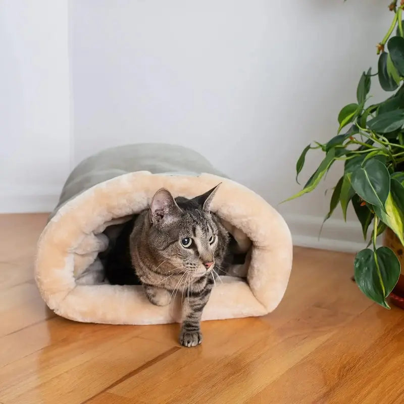 Nid couchage chat - Cocon doux et design | PurrDream