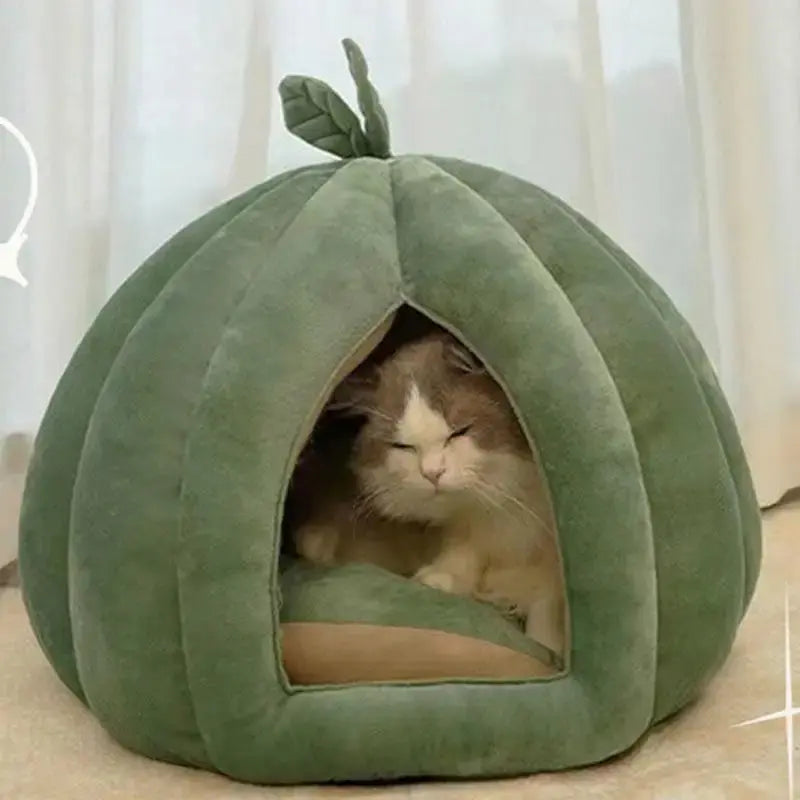 Panier chat citrouille - Confort cocooning | Catélia