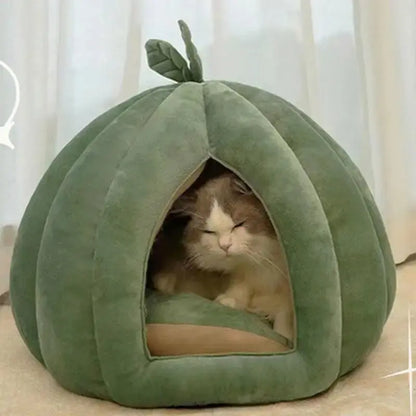 Panier chat citrouille - Confort cocooning | Catélia