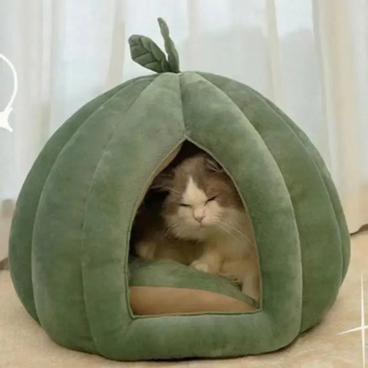 Panier chat citrouille - Confort cocooning | Catélia