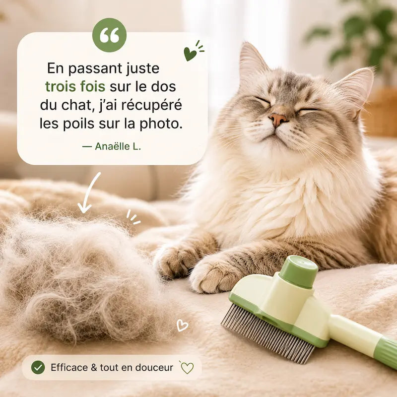 Peigne chat poils longs