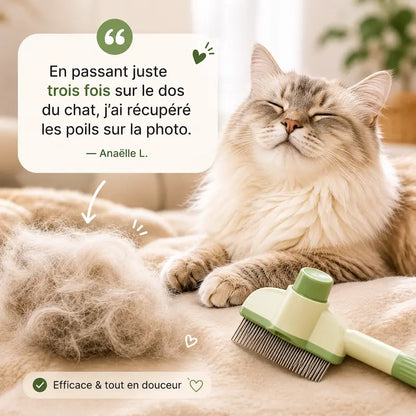 Peigne chat poils longs