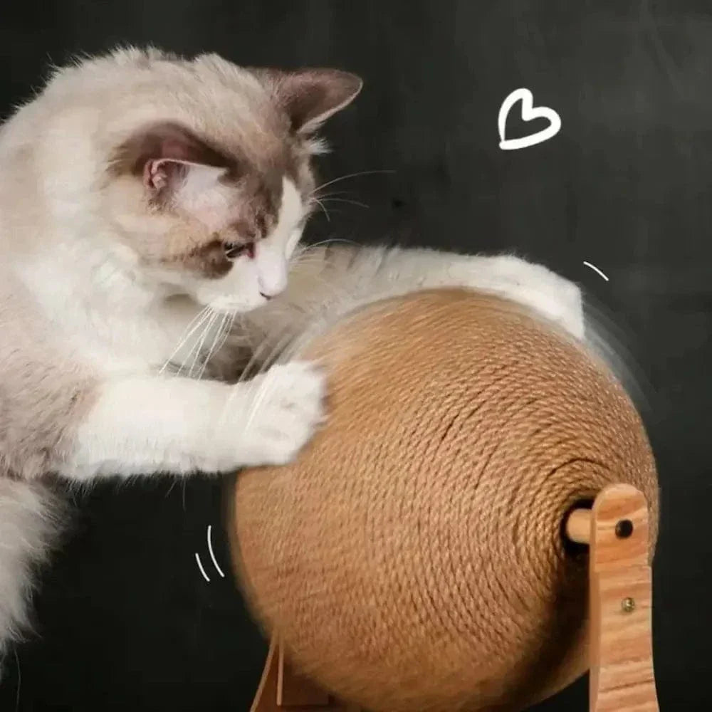 Planche à gratter avec boule