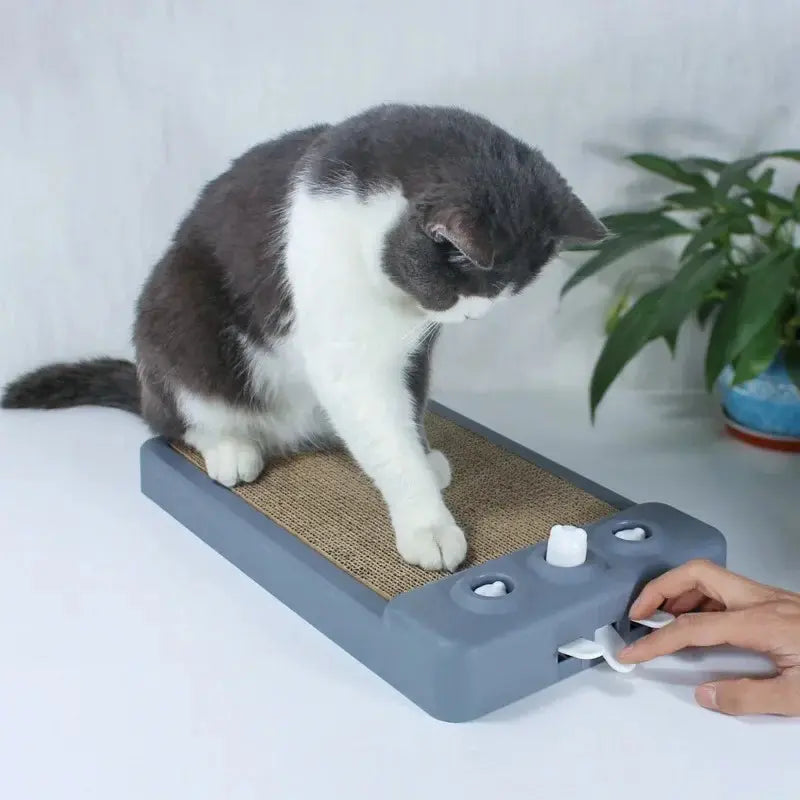 Planche à gratter chat - Protège meubles | Chatelin