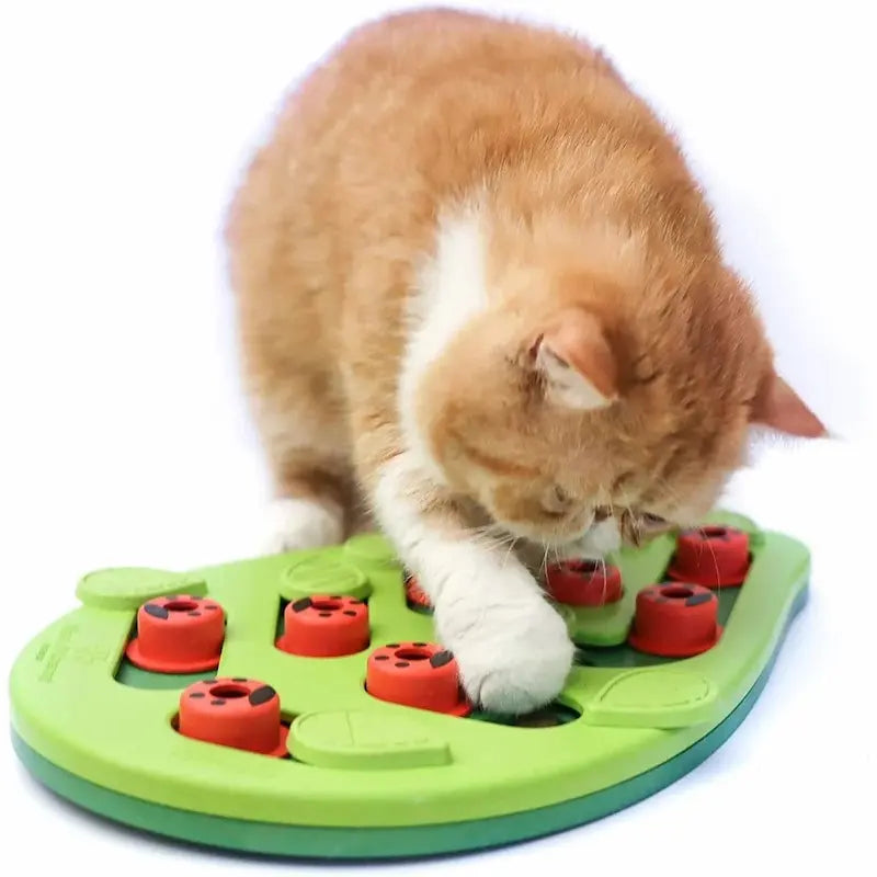Puzzle friandises chat