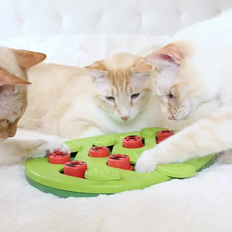 Puzzle friandises chat - Anti-ennui intelligent | PurrPlay
