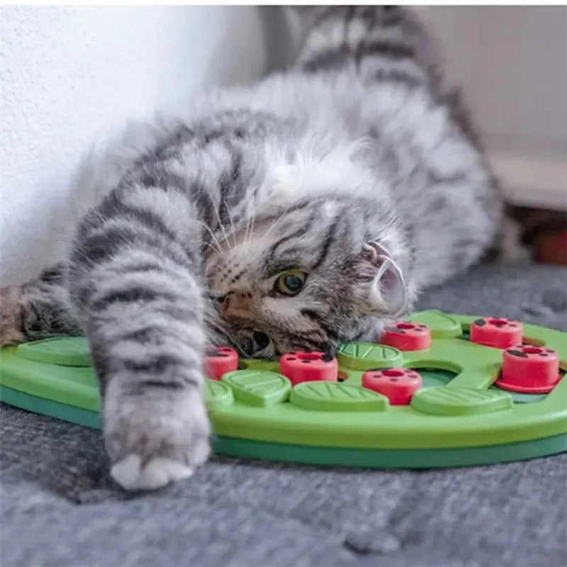 Puzzle friandises chat