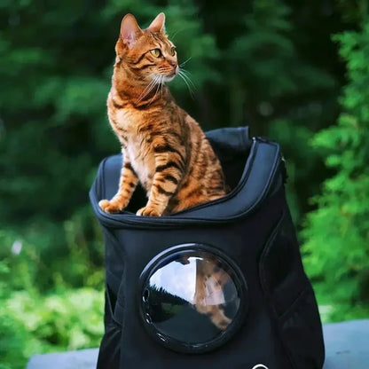 Sac à dos chat astronaute