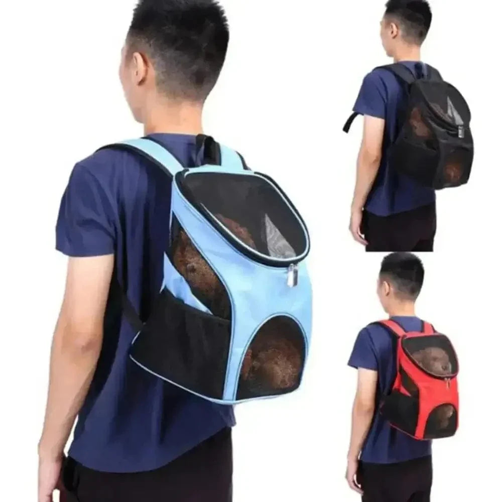 Sac à dos voyage chat