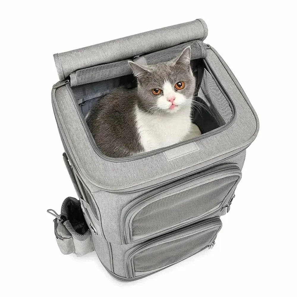 Sac de transport à roulettes pour 2 chats