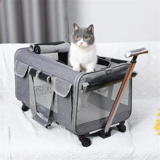 Sac de transport à roulettes pour chat - Zéro effort | RollCat