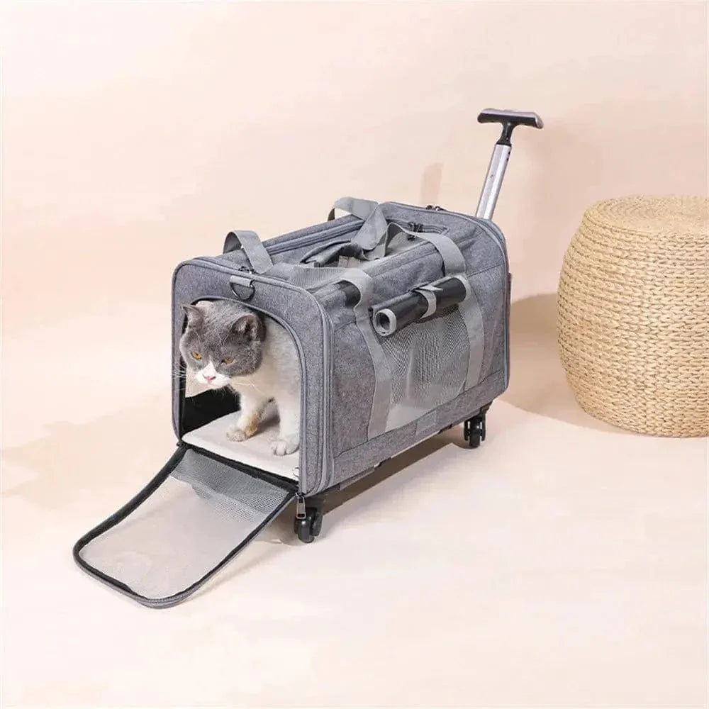 Sac de transport à roulettes pour chat