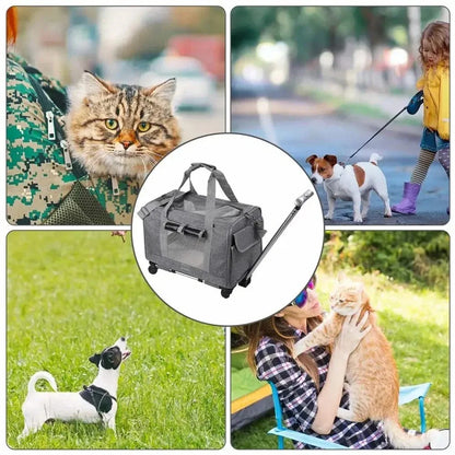 Sac de transport à roulettes pour chat