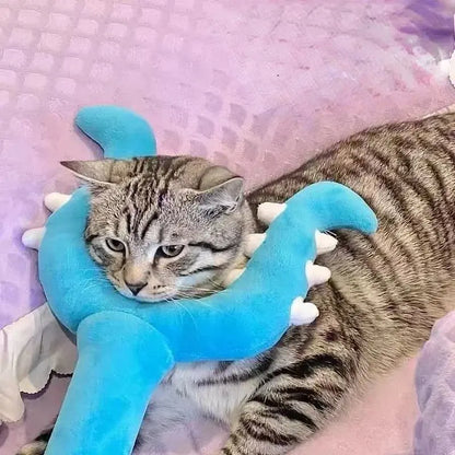Teaser chat en peluche