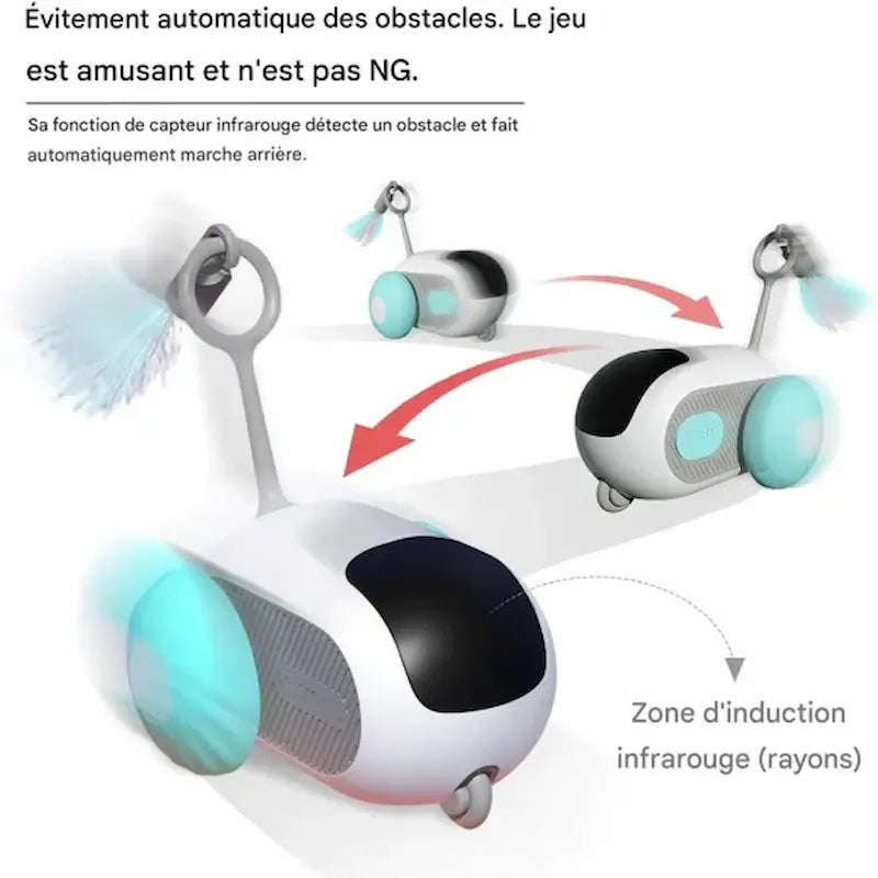 Voiture télécommandée chat