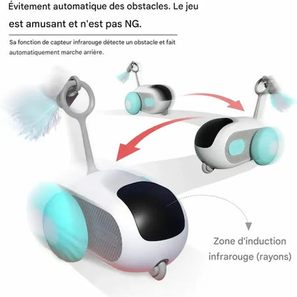 Voiture télécommandée chat
