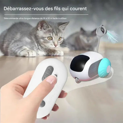 Voiture télécommandée chat