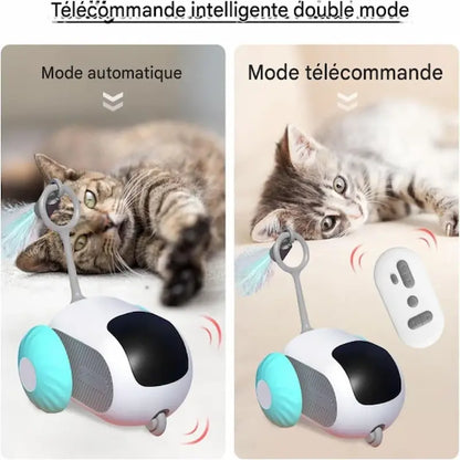 Voiture télécommandée chat